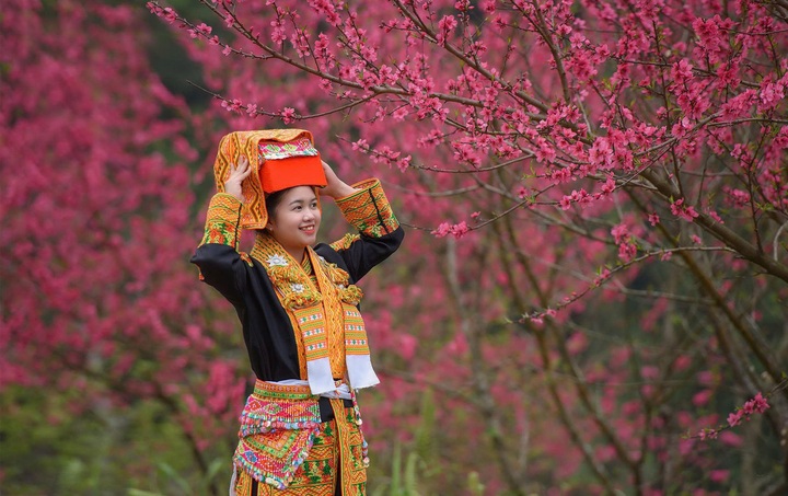 Lang Son's Peach Blossom Festival welcomes tourists for two months - 2
