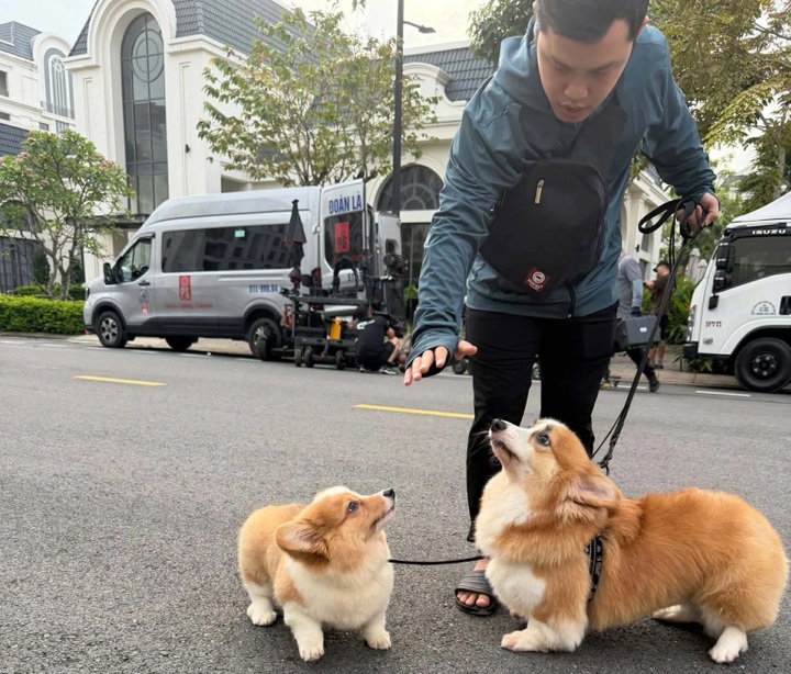 Pet care services see Tet surge in Ho Chi Minh City - 5