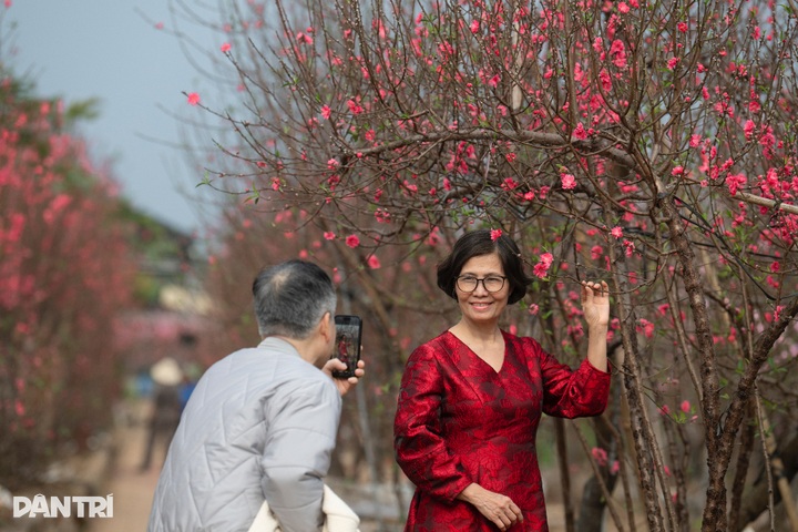 Hanoi peach village bustles ahead of Tet 2026 - 7