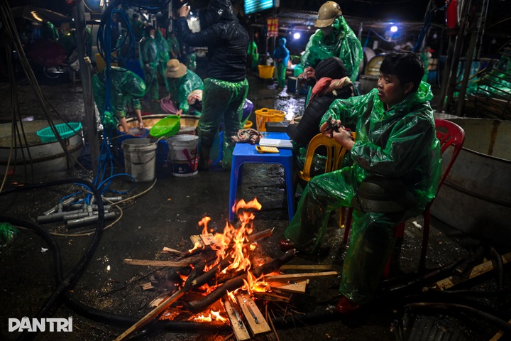 Hanoi’s biggest fish market bustles ahead of Kitchen Gods’ Day - 11 Hanoi’s biggest fish market bustles ahead of Kitchen Gods’ Day - 11