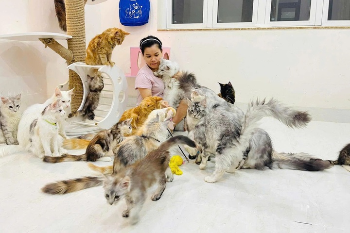 Pet care services see Tet surge in Ho Chi Minh City - 4