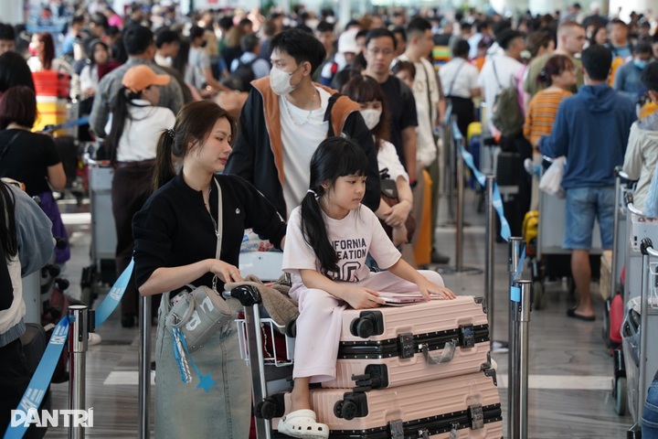 HCM City Airport overwhelmed before Tet - 1 HCM City Airport overwhelmed before Tet - 1