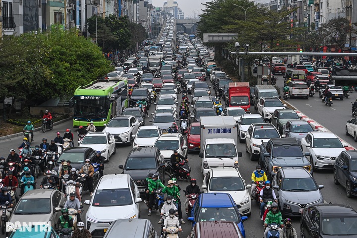 Peach blossoms and kumquat trees inch through Hanoi gridlock before Tet - 1