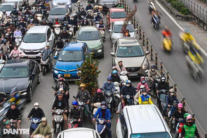 Peach blossoms and kumquat trees inch through Hanoi gridlock before Tet - 7