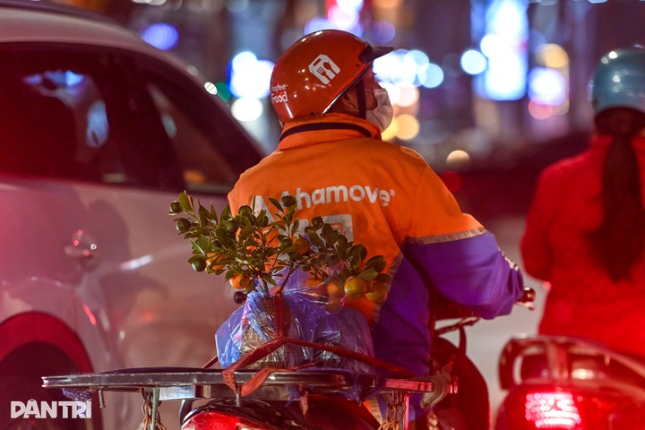 Peach blossoms and kumquat trees inch through Hanoi gridlock before Tet - 13
