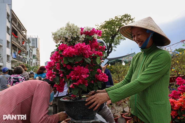 Brilliant blooms light up HCM City's floating Tet flower market - 6