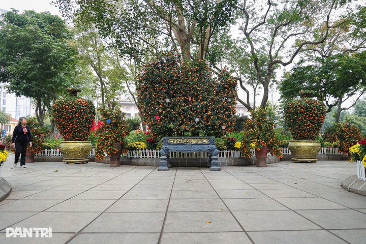 Ly Thai To Flower Garden showcases largest-ever Tet floral display - 6