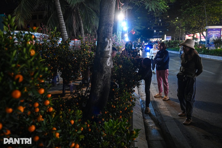 Vendors camp overnight to guard Tet flowers on Hanoi streets - 2