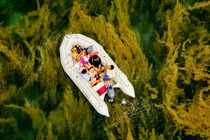 Vietnamese photographer wins top prize with Con Dao image - 2