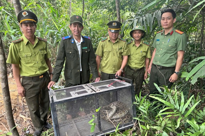 3.5m python found in Danang residential area released - 1