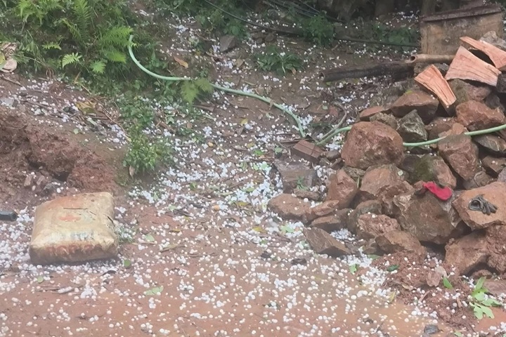 Hailstorm damages crops and homes in Cao Bang - 1