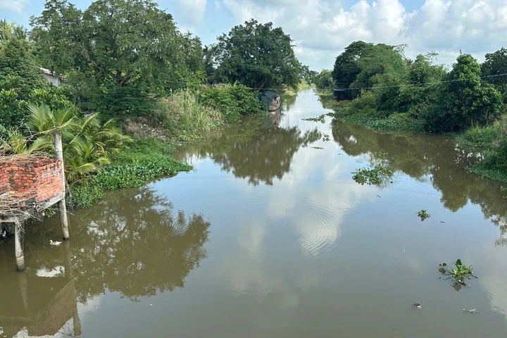 Crocodile spotted in canal prompts warning in Tay Ninh - 1