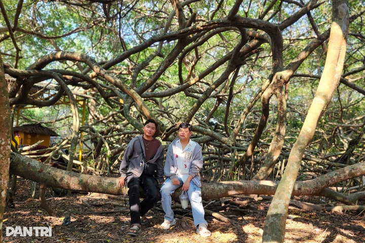 Century old banyan grove in Can Tho draws visitors - 6