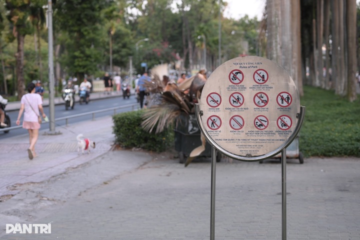 Unmuzzled, stray dogs persist in HCM City despite penalties - 5