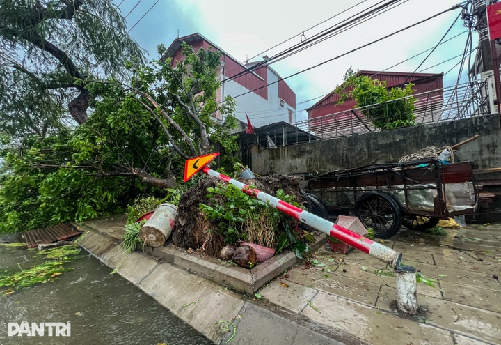 Vietnam may face 6-7 storm impacts in 2026 - 1