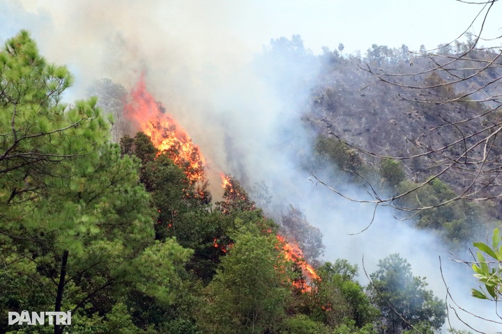 More than 1,000 people battle forest fire in Nghe An - 1