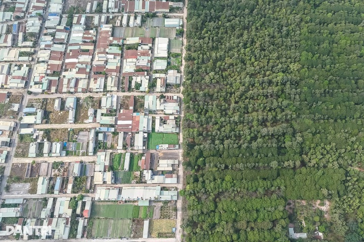 200-hectare forest serves as Dong Nai's green lung - 5