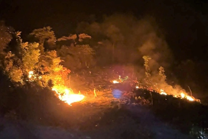 More than 100 firefighters contain Danang forest blaze - 1 More than 100 firefighters contain Danang forest blaze - 1