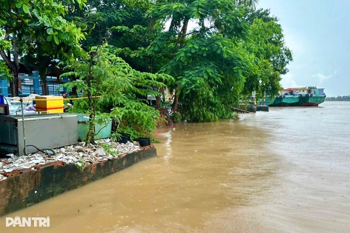 Riverbank erosion threatens ferry terminal, school in Can Tho - 1