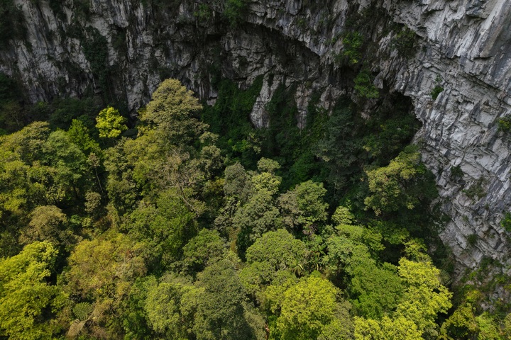 Giant sinkhole hidden beneath forest canopy spans three football pitches - 6