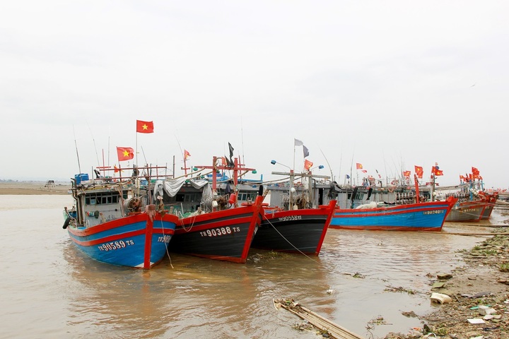 Ngư dân hối hả cấp tập neo đậu tàu thuyền, phòng tránh bão Yagi - 1 Ngư dân hối hả cấp tập neo đậu tàu thuyền, phòng tránh bão Yagi - 1