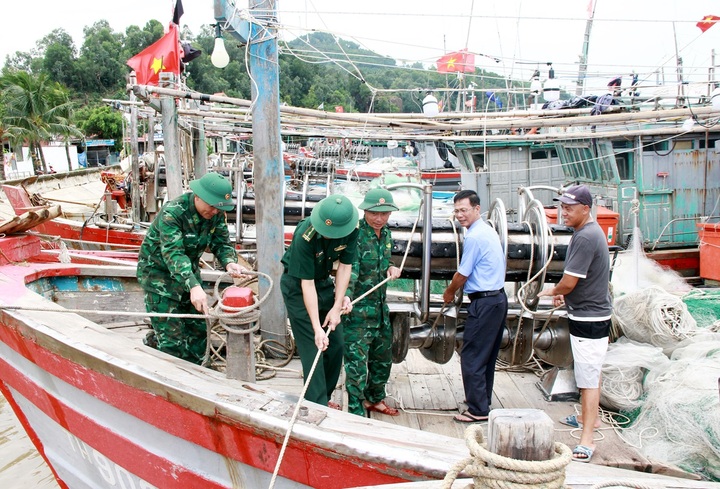 Ngư dân hối hả cấp tập neo đậu tàu thuyền, phòng tránh bão Yagi - 2 Ngư dân hối hả cấp tập neo đậu tàu thuyền, phòng tránh bão Yagi - 2