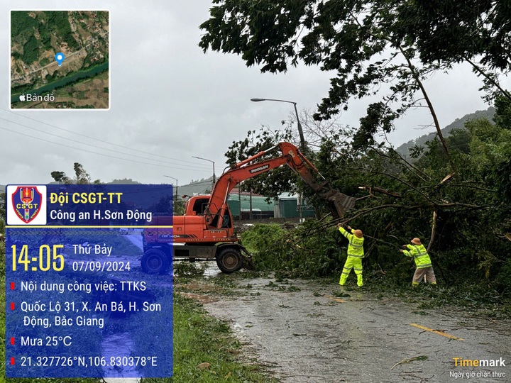 Cảnh sát giao thông vượt giông bão, dọn dẹp cây gãy đổ bảo đảm an toàn - 1