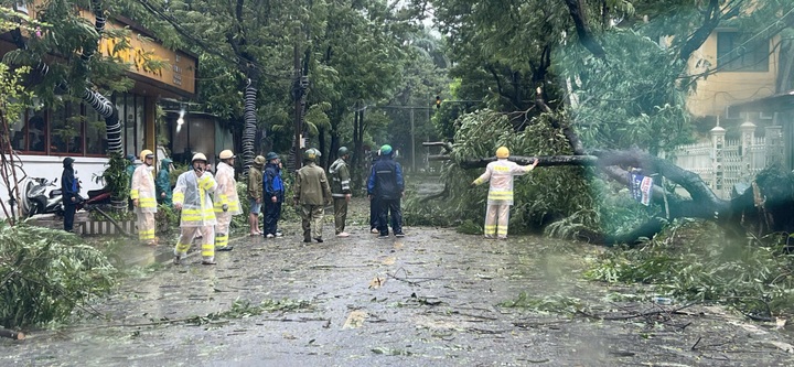 Cảnh sát giao thông vượt giông bão, dọn dẹp cây gãy đổ bảo đảm an toàn - 3