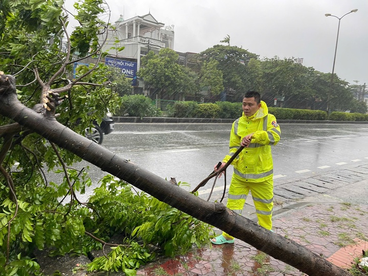 Cảnh sát giao thông vượt giông bão, dọn dẹp cây gãy đổ bảo đảm an toàn - 6