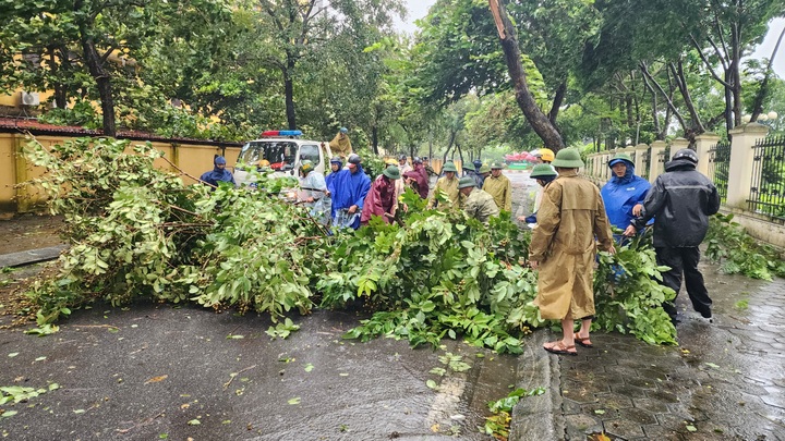 Cảnh sát giao thông vượt giông bão, dọn dẹp cây gãy đổ bảo đảm an toàn - 5