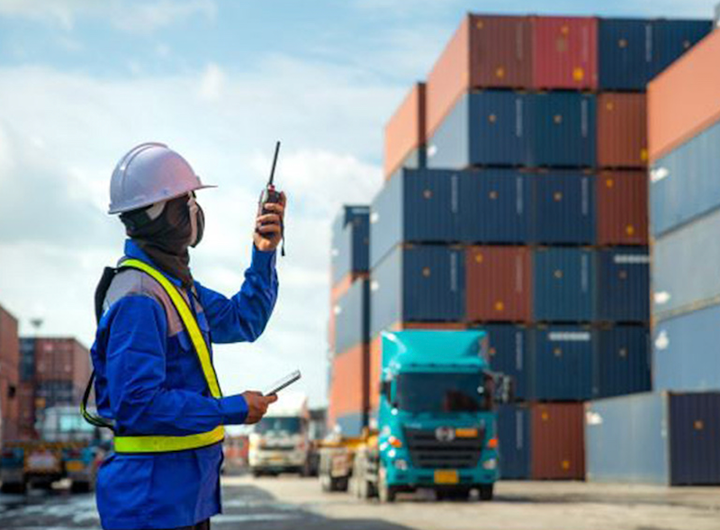 Thiếu hụt nghiêm trọng nguồn nhân lực cảng biển - 1