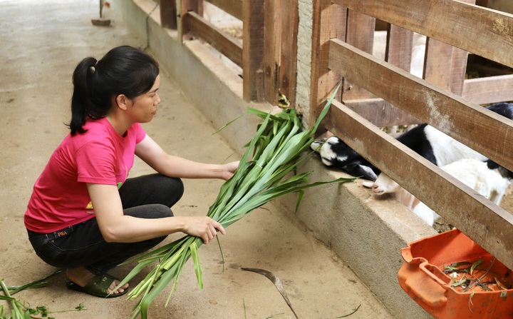 Hà Tĩnh áp dụng nhiều giải pháp để theo đuổi mục tiêu giảm nghèo 0,6-1%/năm - 1