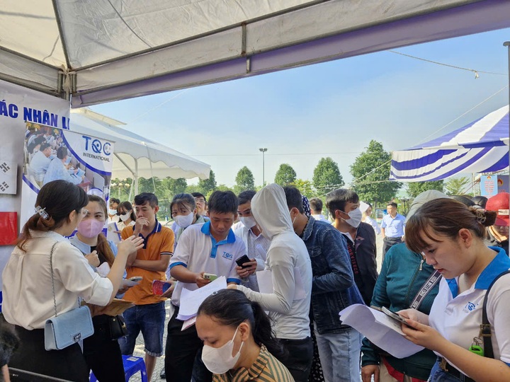 Hơn 6.000 vị trí việc làm chờ quân nhân xuất ngũ, người lao động Đà Nẵng - 2