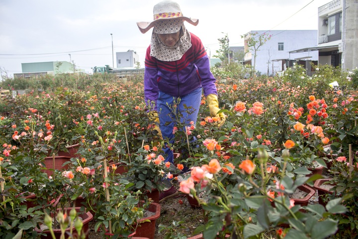 Hơn 12.000 lượt hộ nghèo, cận nghèo ở Đà Nẵng vay vốn tín dụng chính sách - 2 Hơn 12.000 lượt hộ nghèo, cận nghèo ở Đà Nẵng vay vốn tín dụng chính sách - 2
