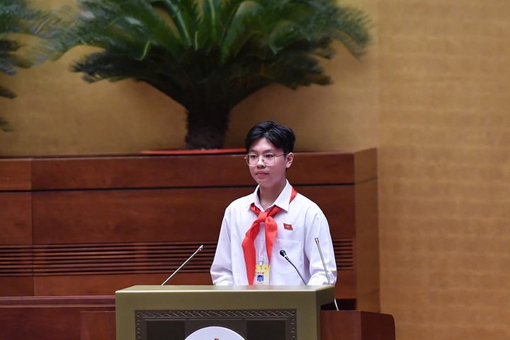 ĐB "Quốc hội nhí" đề xuất cách chống thuốc lá điện tử, bạo lực học đường - 3