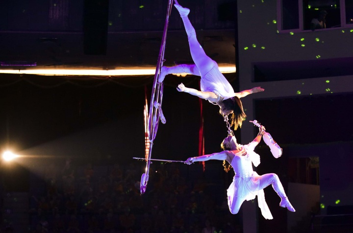 Nghệ sĩ xiếc: Đào thải khắc nghiệt, tuổi nghề ngắn, thu nhập eo hẹp - 2