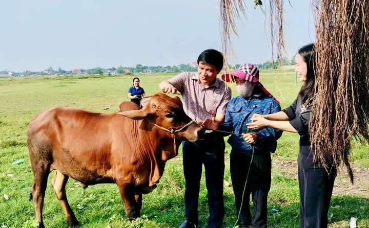 Hỗ trợ sinh kế giúp người nghèo Hà Tĩnh vươn lên - 1