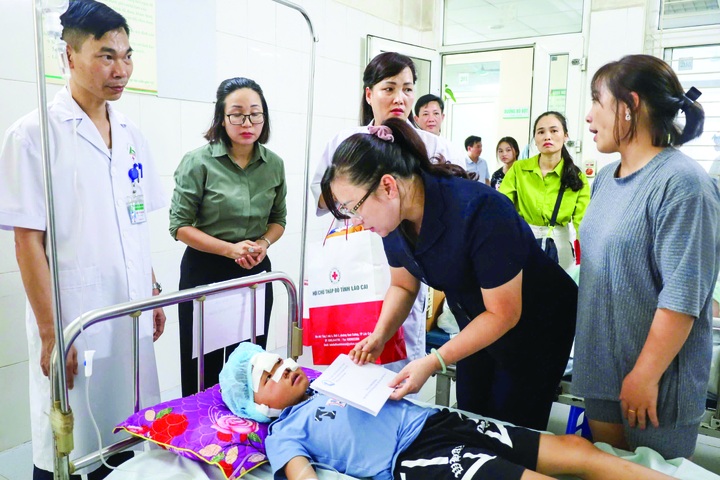 Quỹ Bảo trợ trẻ em Việt Nam hỗ trợ kịp thời, thiết thực cho trẻ em khó khăn - 2