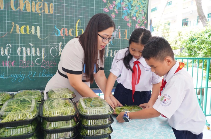 Giáo dục học sinh thông qua những hoạt động nhân đạo, từ thiện - 1