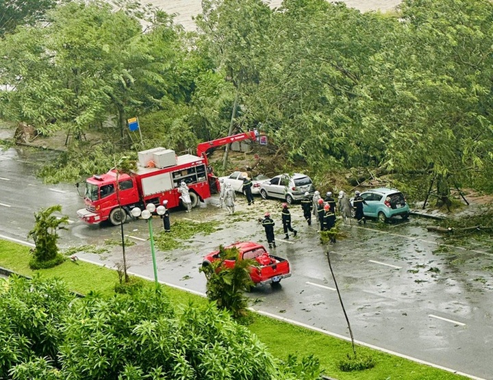 10 tỉnh cử lực lượng tham gia hỗ trợ Hà Nội xử lý cây xanh gãy đổ sau bão - 1