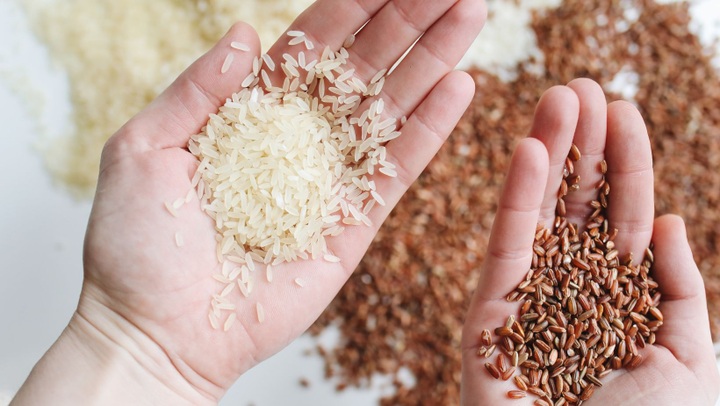 Bí quyết bảo quản gạo cả năm mà vẫn dẻo và thơm ngon - 1 Bí quyết bảo quản gạo cả năm mà vẫn dẻo và thơm ngon - 1