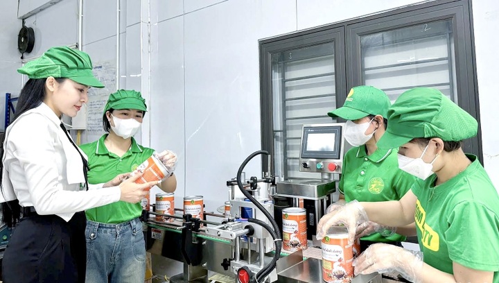 Phụ nữ Nghệ An tận dụng lợi thế từ công nghệ AI, thúc đẩy bình đẳng giới - 1