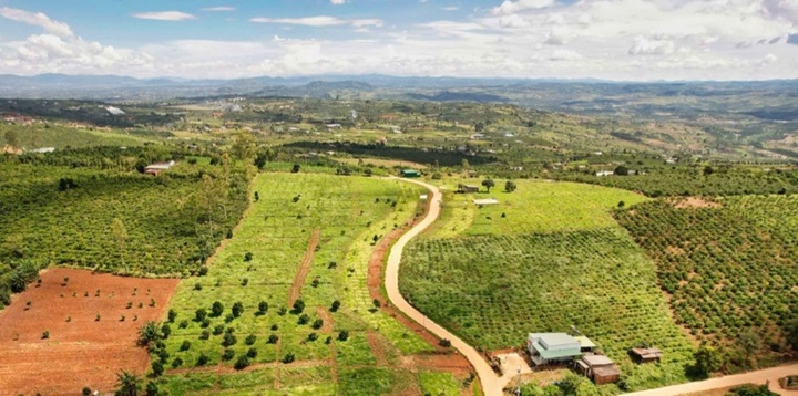 Đắk Nông cho phép xây dựng công trình đến 500m² trên đất nông nghiệp - 1