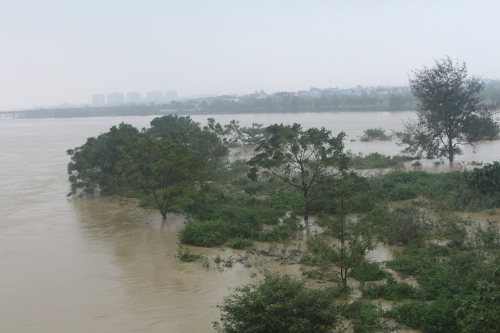 Đà Nẵng giao Chủ tịch quận, huyện là tổng chỉ huy phòng, chống bão Trà Mi - 2 Đà Nẵng giao Chủ tịch quận, huyện là tổng chỉ huy phòng, chống bão Trà Mi - 2