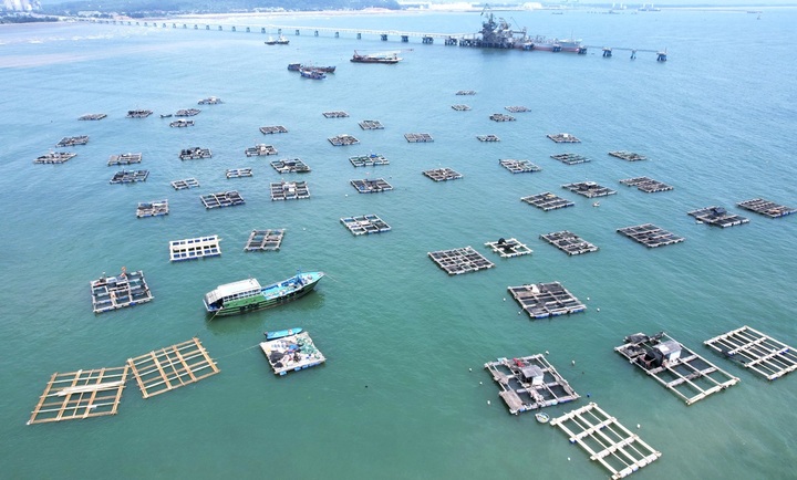 Điểm du lịch quyến rũ xã đảo Nghi Sơn – cánh tay khổng lồ nơi biển cả - 5