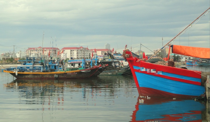 Đà Nẵng kêu gọi tàu thuyền vào bờ tránh bão Yinxing - 2