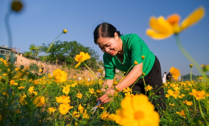 Biến bãi rác thành “tọa độ sống ảo” - 2