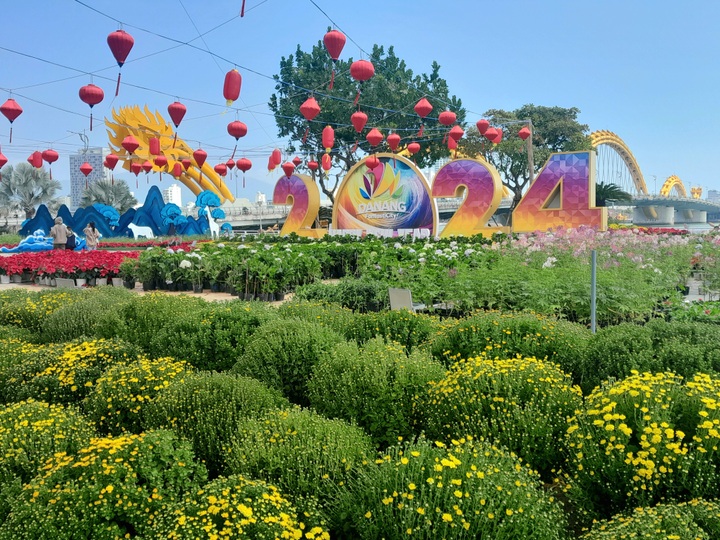 Đà Nẵng đầu tư 18,6 tỷ đồng cho hoa và đèn điện hút du khách Tết Ất Tỵ 2025 - 1