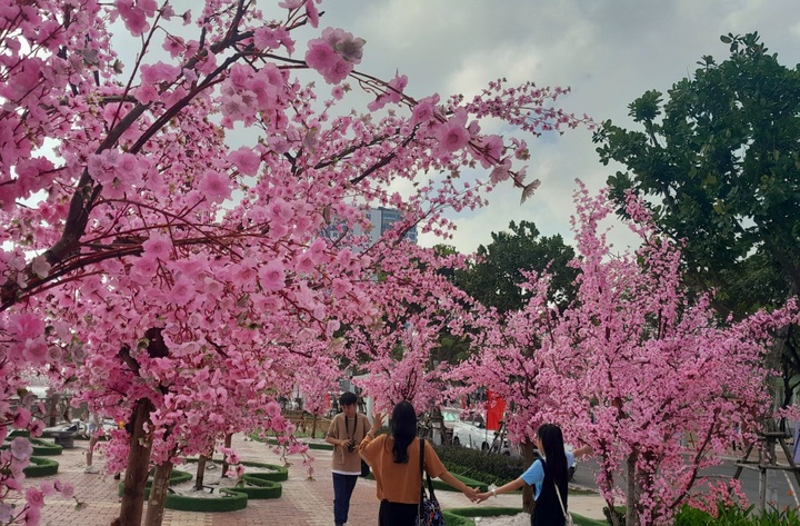 Đà Nẵng đầu tư 18,6 tỷ đồng cho hoa và đèn điện hút du khách Tết Ất Tỵ 2025 - 3