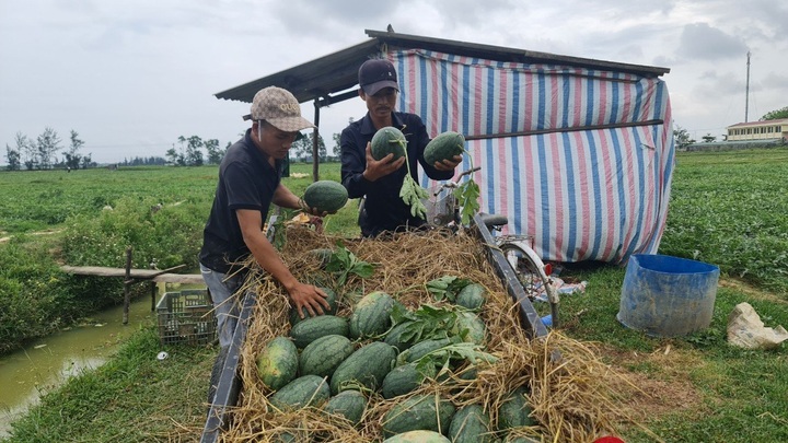 Quảng Bình: Giảm nghèo thành công không chỉ trao "cần câu" hay "con cá" - 1 Quảng Bình: Giảm nghèo thành công không chỉ trao "cần câu" hay "con cá" - 1